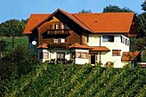 Сімейний пансіонат Kaindorf in Sulmtal Австрія
